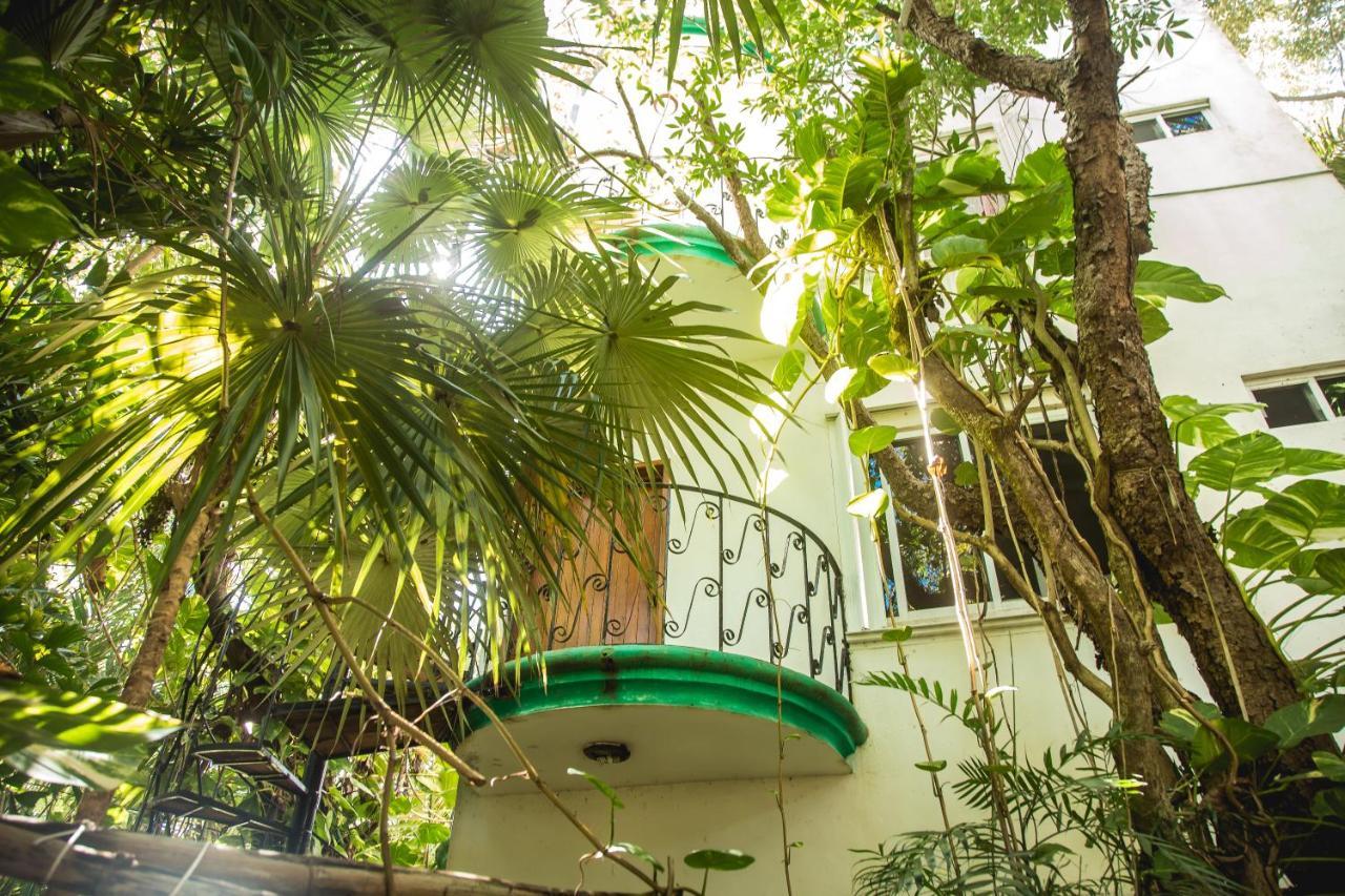 The Jungle Beach